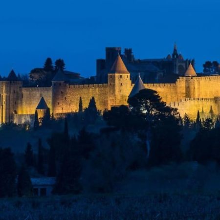 Le Panoramique - Sublime Vue Sur La Cite Lejlighed Carcassonne Eksteriør billede