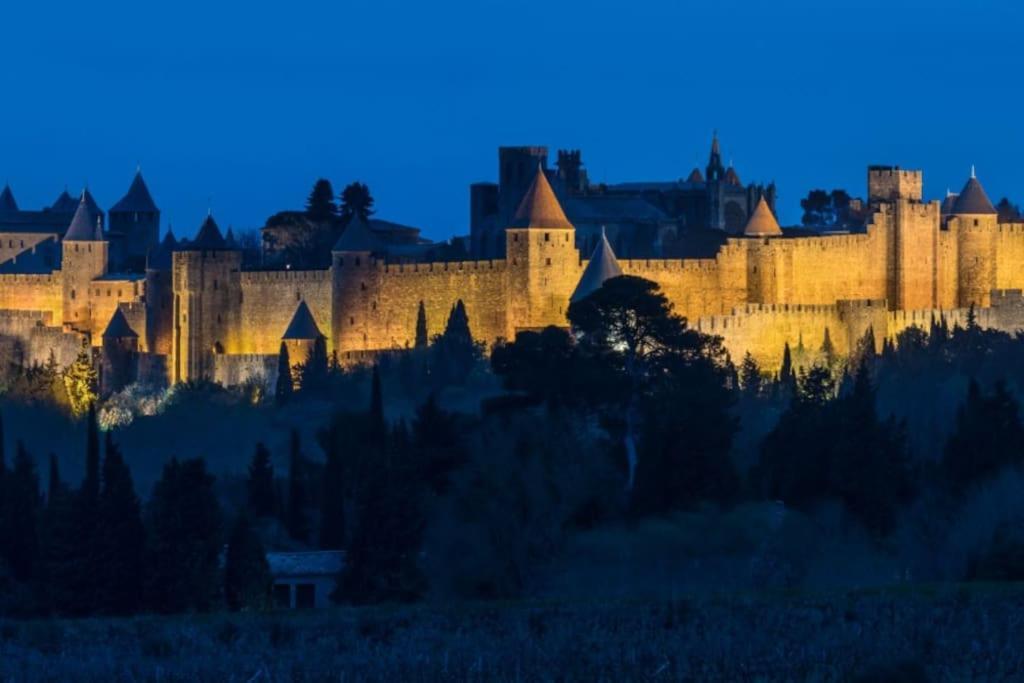 Le Panoramique - Sublime Vue Sur La Cite Lejlighed Carcassonne Eksteriør billede
